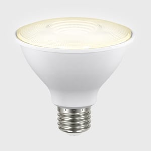 13PAR38LED30MV25 13PAR38LED30MV25