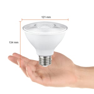 13PAR38LED30MV25 13PAR38LED30MV25