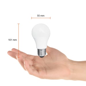 A19-LED/007/30 A19-LED/007/30