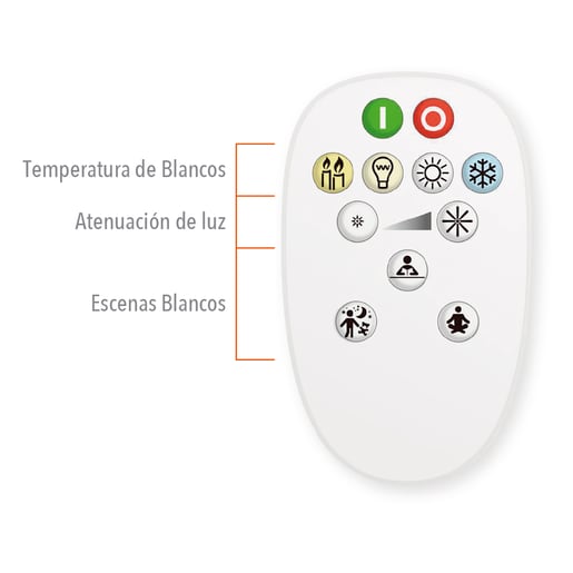 10DA19LEDCCTIDVBK 10DA19LEDCCTIDVBK