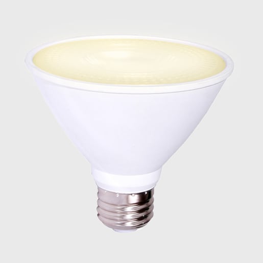 10DPAR30LED30V40 10DPAR30LED30V40