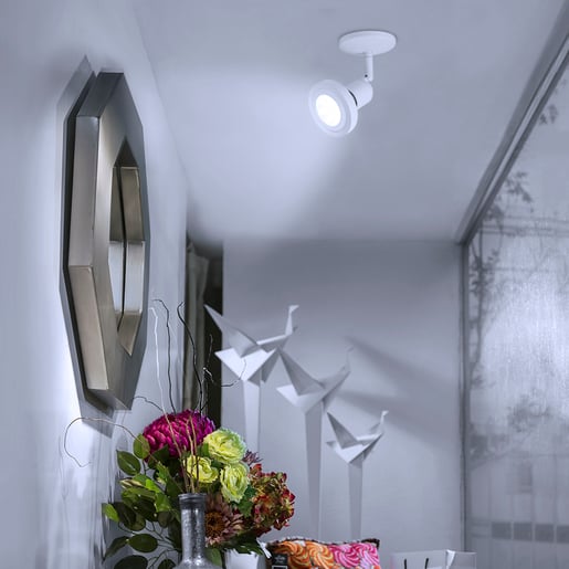 10DPAR30LED65V40 10DPAR30LED65V40