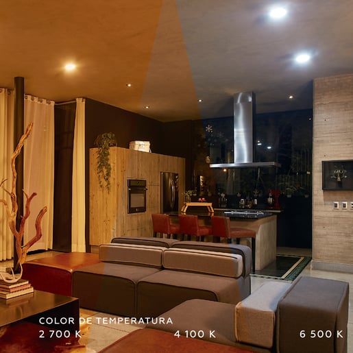 10DYDLED010VSCCTB 10DYDLED010VSCCTB