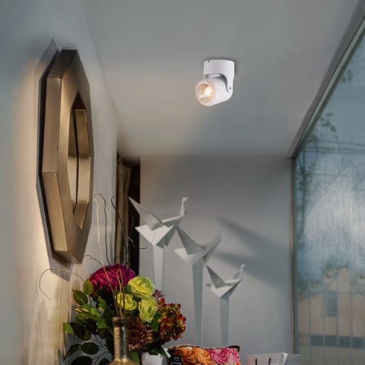 120UFOELED65MVN 120UFOELED65MVN