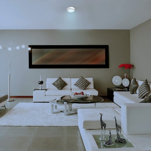 12PTLLEDR65MVB 12PTLLEDR65MVB