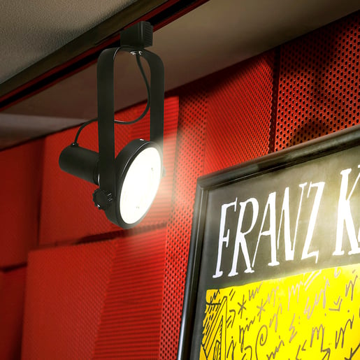 13PAR38LED30MV25 13PAR38LED30MV25