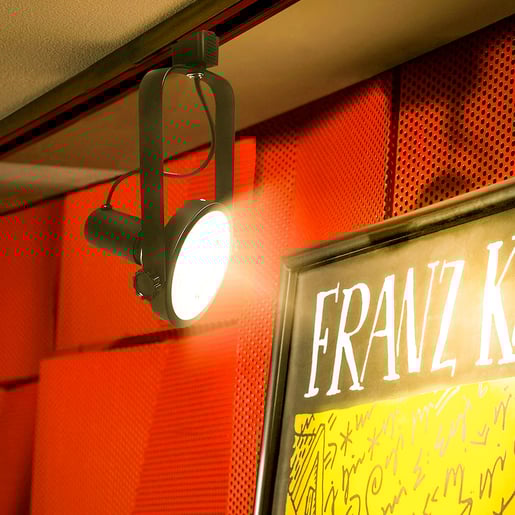 13PAR38LEDYMV60 13PAR38LEDYMV60