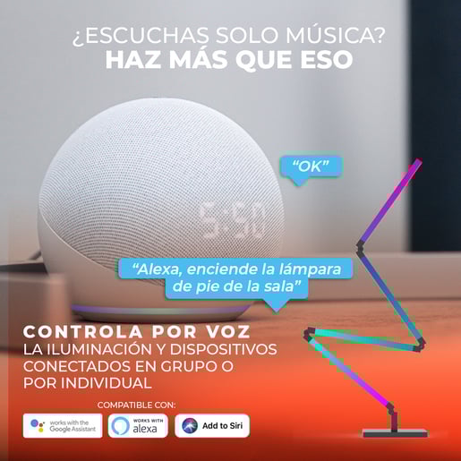 22FWLRWMVTCW 22FWLRWMVTCW