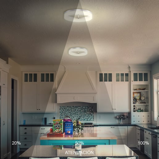 25DPTLLED206V30S 25DPTLLED206V30S