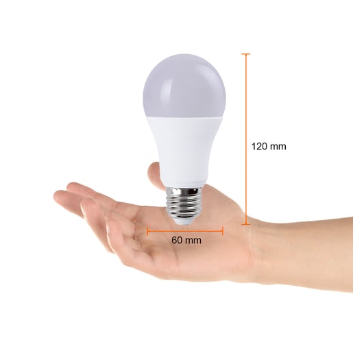 A19-LED/005/65 A19-LED/005/65