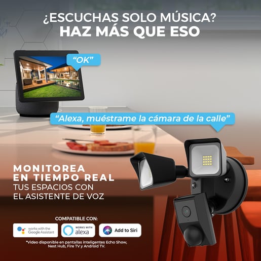 CAMEXTF8SMVTCW CAMEXTF8SMVTCW