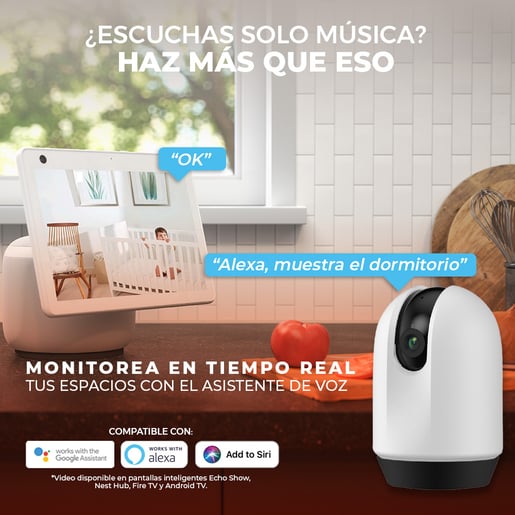 CAMS6SVCDTCW CAMS6SVCDTCW