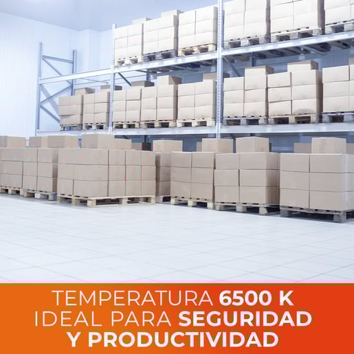 SP203MVBTCW SP203MVBTCW