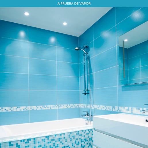 YDLED-101/30/B YDLED-101/30/B